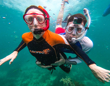 Hispaniola Snorkel Tour