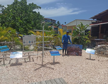 Coral Education Punta Cana