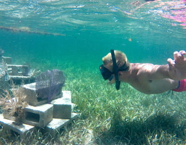 Coral educational snorkeling