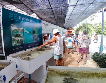 Coral education lab Punta Cana